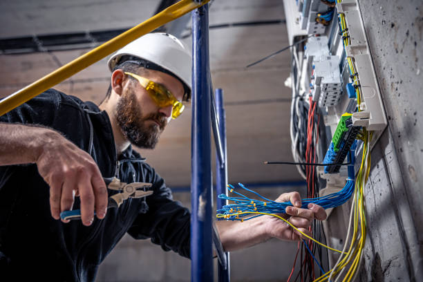 Best Electrical Upgrades for Homes  in Attica, MI